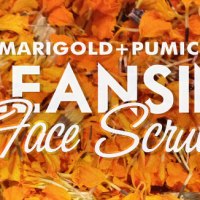 Marigold-Pumice Cleansing Face Scrub